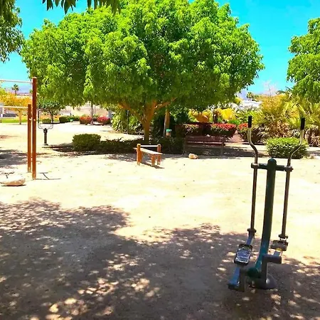 Parrales 17